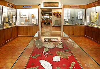 Musée Requien Avignon  © VF