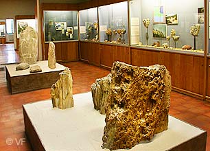Museum Requien Avignon  &copy; VF