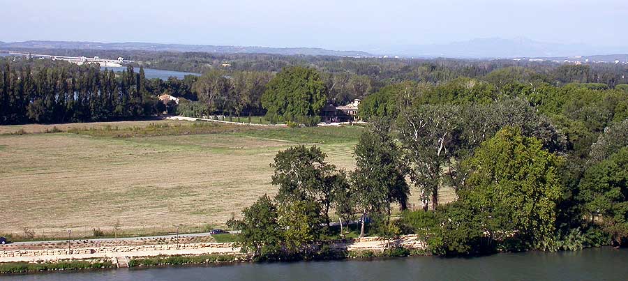 Ile de la Barthelasse