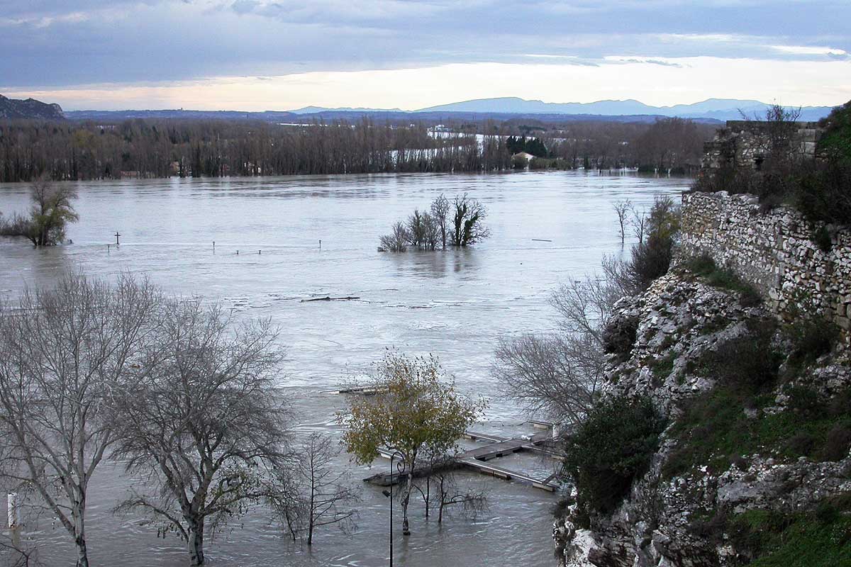 Inondation de l'île de la Barthelasse (2003) © VF