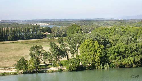 &icirc;le de la Barthelasse en Avignon  &copy; VF