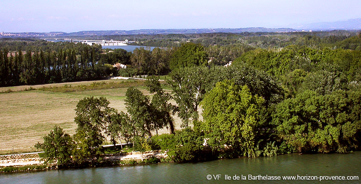 &icirc;le de la Barthelasse en Avignon  &copy; VF