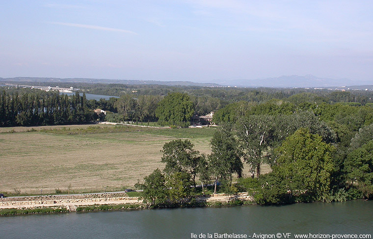 île de la Barthelasse en Avignon © VF