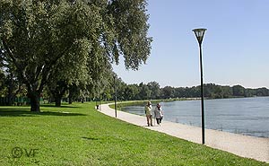 &icirc;le de la Barthelasse en Avignon  &copy; VF