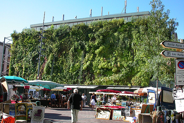 Mur vegetal Avignon © VF