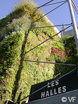 Mur vegetal Avignon © VF
