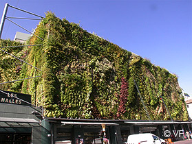 Mur vegetal Avignon © VF