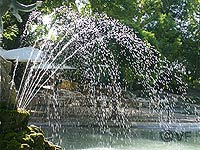 le rocher des doms en Avignon © VF