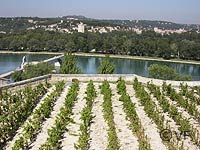 le rocher des doms en Avignon © VF