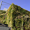 Green Wall Avignon