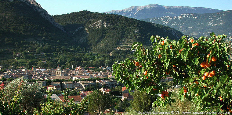 Buis les Baronnies Dr&ocirc;me proven&ccedil;ale