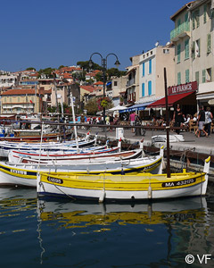 cassis