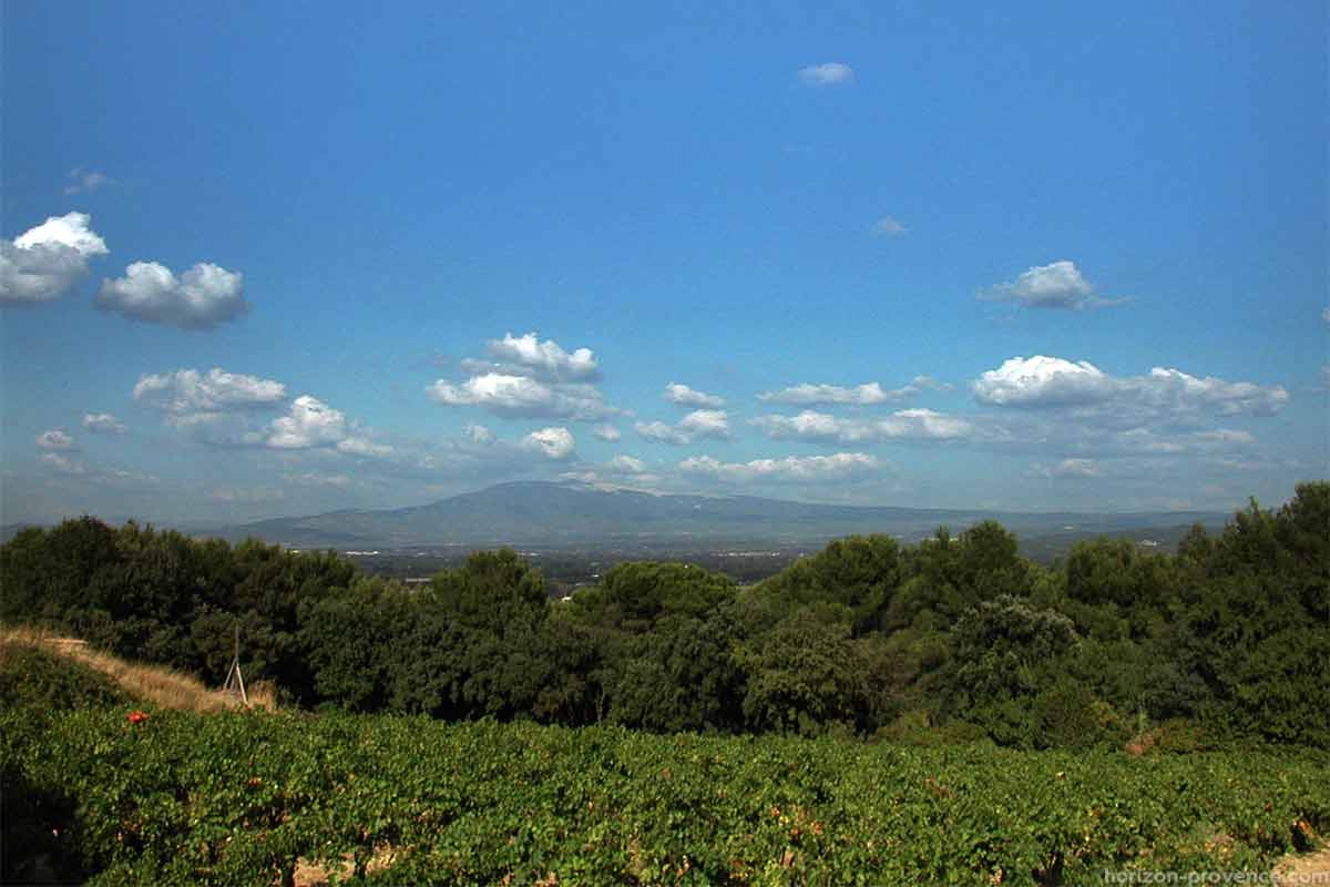 Mont-Ventoux depuis Châteauneuf-de-Gadagne © VF