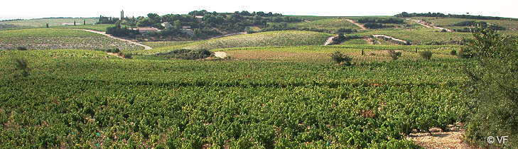 Ch�teauneuf du Pape Provence