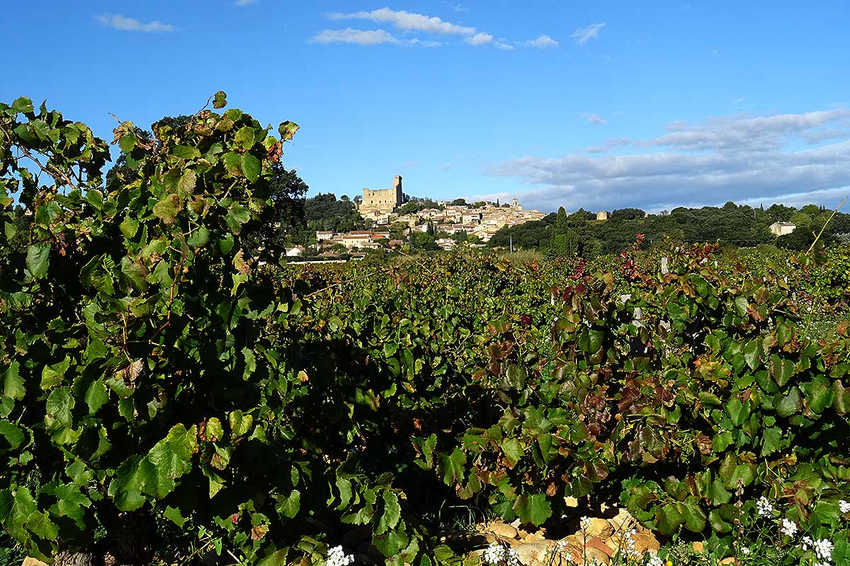 Châteauneuf du Pape © VF