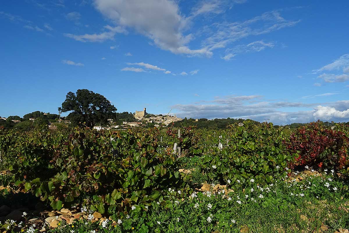 Châteauneuf du Pape © VF