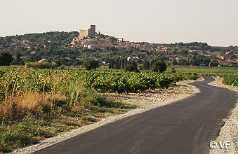 Ch�teauneuf du Pape hebergement Provence