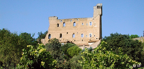 Chateauneuf du Pape photo