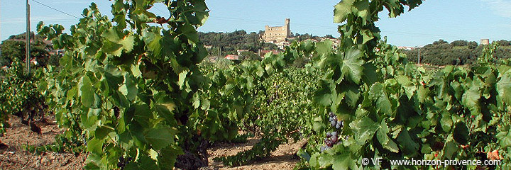 Châteauneuf du Pape photo