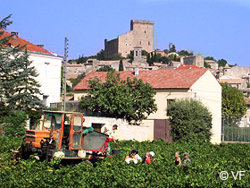 Châteauneuf du Pape Provence