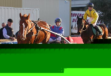 Cheval Passion Avignon &copy; VF  