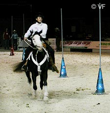 Cheval Passion Avignon &copy; VF  