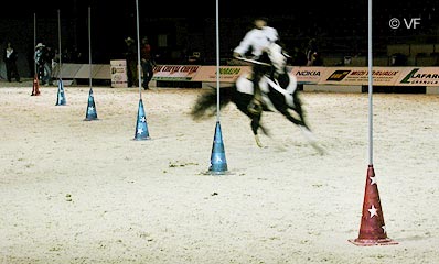 Cheval Passion Avignon &copy; VF