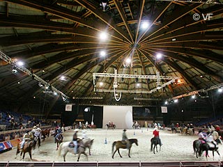 Cheval Passion Avignon &copy; VF