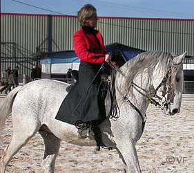 Cheval Passion Avignon &copy; VF  