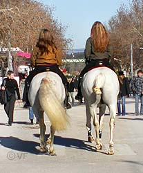 Cheval Passion Avignon &copy; VF