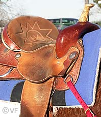 Cheval Passion Avignon &copy; VF