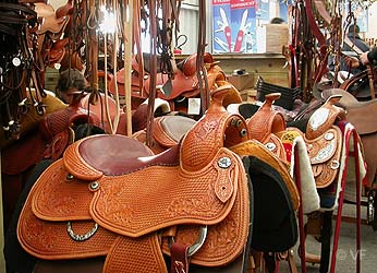 Cheval Passion Avignon &copy; VF 
