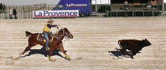 Cheval Passion Avignon &copy; VF 