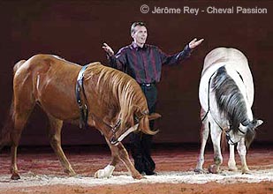 Cheval Passion Avignon &copy; VF  