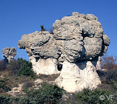 Forcalquier photos