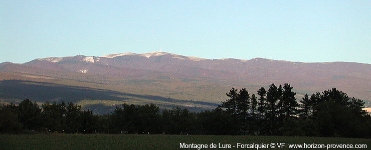 Montagne de Lure