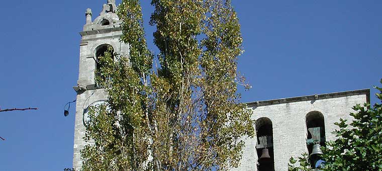 Forcalquier cathédrale