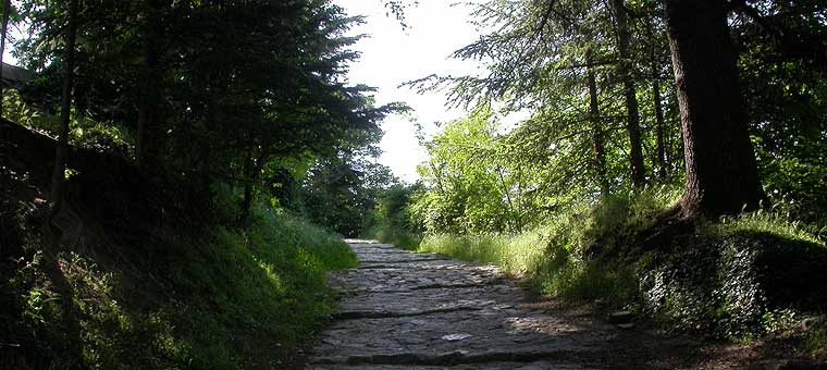 Forcalquier promenade colline