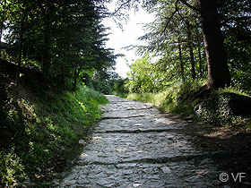 Forcalquier photo