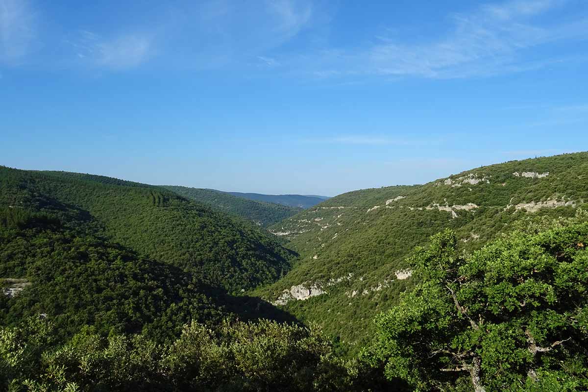 Gorges de la Nesque