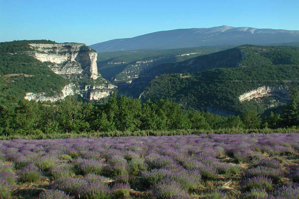 Gorges de la Nesque