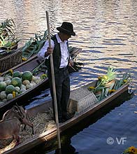 march&eacute; Isle sur Sorgue