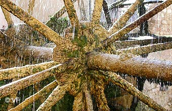 Roue Aubes Isle Sorgue