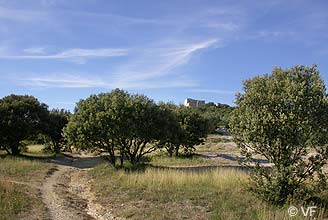 Chateau de Thouzon - le Thor Provence