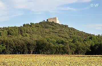 Chateau de Thouzon - le Thor Provence