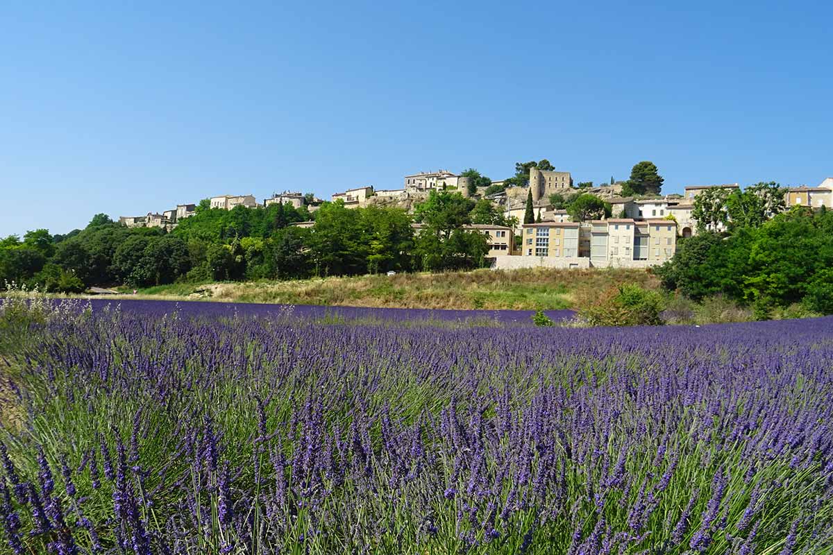 Ménerbes Luberon Provence