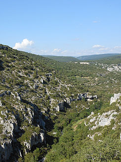 Gorges de la Nesque 