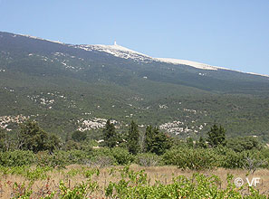 Mont Ventoux Géant de Provence
