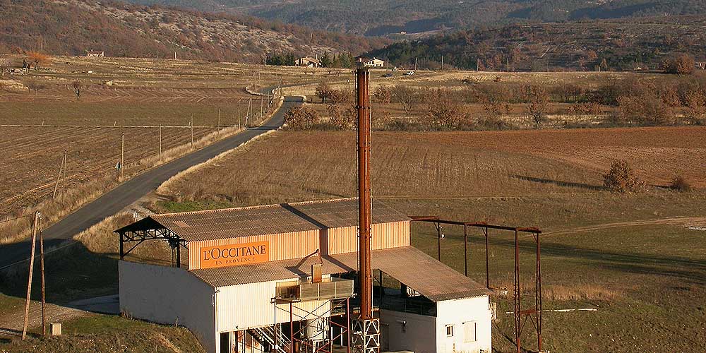 Lavender Distillery