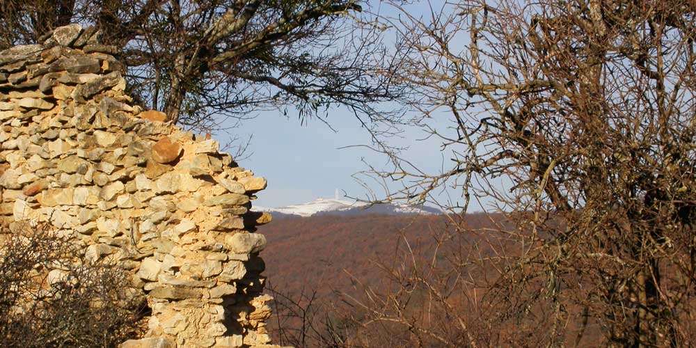 Montagne de Lure - Ongles